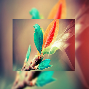 久久精品熟女免费观看视频下载
