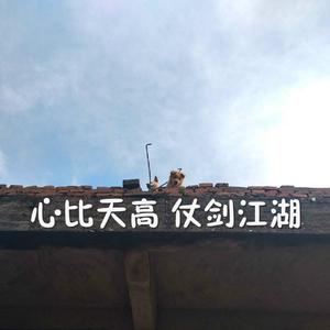 久久精品熟女免费观看视频下载
